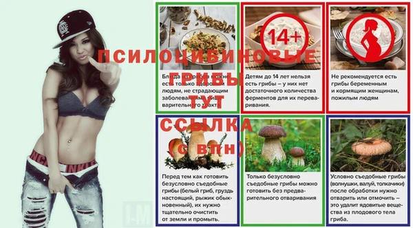 шишки Володарск