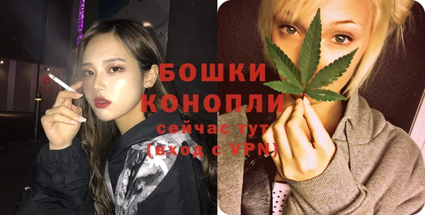 шишки Володарск