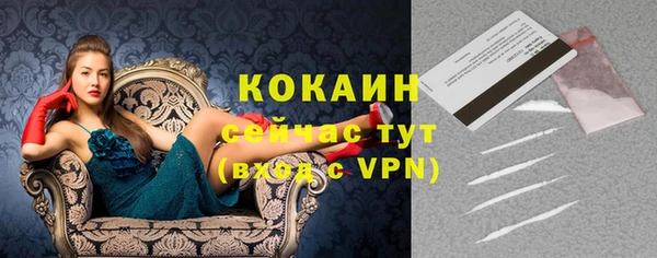 шишки Володарск