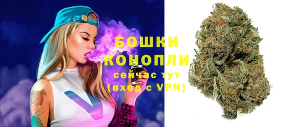 шишки Володарск