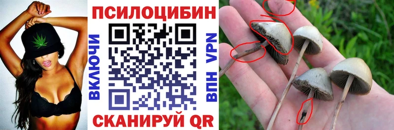 купить  сайты  Рузаевка  гидра ТОР  Галлюциногенные грибы GOLDEN TEACHER 
