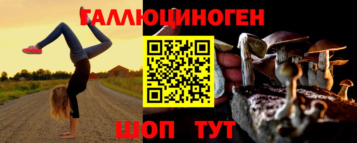 Рузаевка  Псилоцибиновые грибы прущие грибы  наркотики  Вход с VPN 